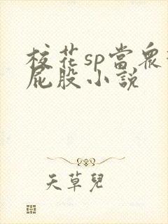 校花sp当众打屁股小说封面