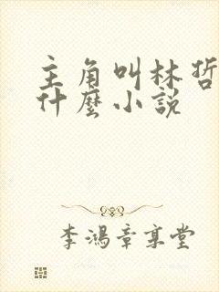 主角叫林哲的是什么小说