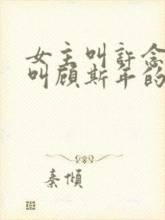 女主叫许念男主叫顾斯年的小说名字