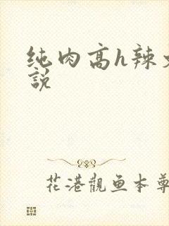 纯肉高h辣文小说封面