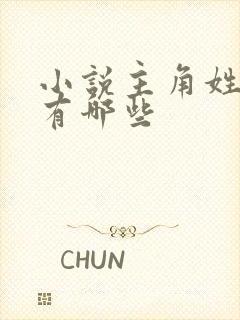 小说主角姓林的有哪些