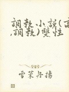 调教小说(高h,调教)双性