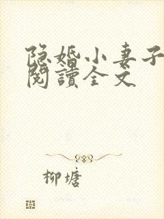 隐婚小妻子免费阅读全文封面