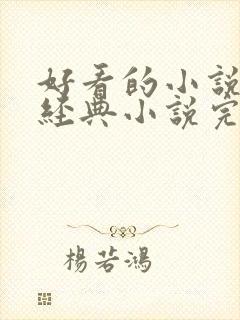 好看的小说推荐经典小说完本