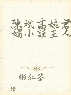 陈斌高婉君赵心媚小说主人公免费阅读