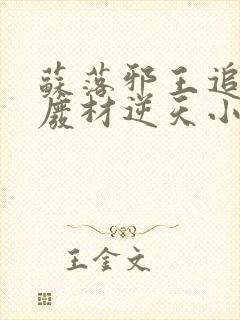 苏落邪王追妻:废材逆天小姐字数封面