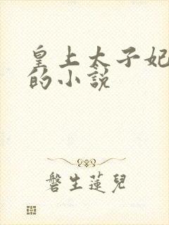 皇上太子妃沈音的小说