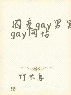 国产gay男男gay网站