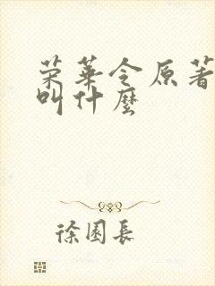 荣华令原著小说叫什么封面