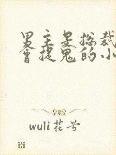 男主是总裁女主会捉鬼的小说