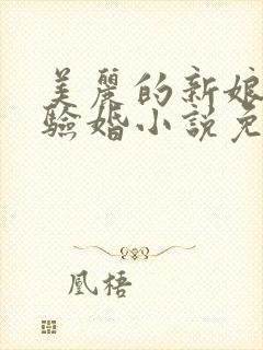 美丽的新娘阿龟验婚小说免费阅读封面