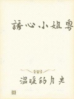 诱心小姐粤语版