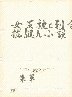 女友被c到合不拢腿h小说封面