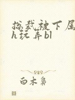 总裁被下属调教h玩弄bl