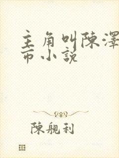 主角叫陈泽的都市小说