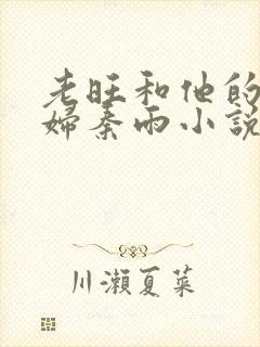 老旺和他的儿媳妇秦雨小说