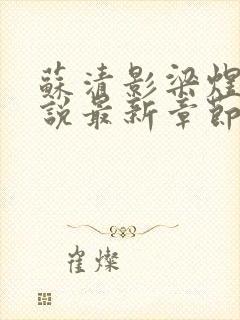 苏清影梁煜川小说最新章节更新内容