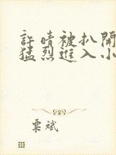 许晴被扒开双腿猛烈进入小说