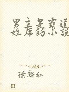 男主是霸道总裁姓席的小说