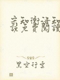 宋知衡洛知予小说免费阅读最新章节封面