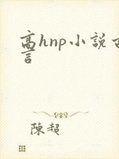 高hnp小说古言封面