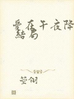 爱在午夜降临前 结局