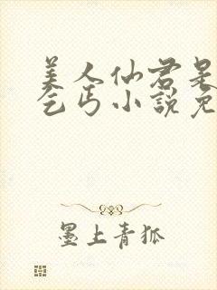 美人仙君是报恩乞丐小说免费阅读封面