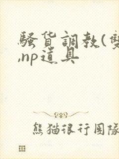 骚货调教(双性,np道具