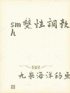 sm双性调教高h