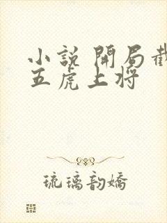 小说 开局截胡五虎上将