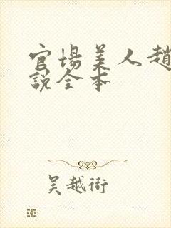 官场美人赵燕小说全本