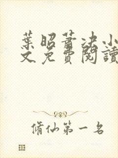 叶昭萧决小说全文免费阅读封面