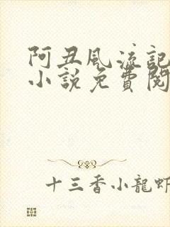 阿丑风流记原著小说免费阅读