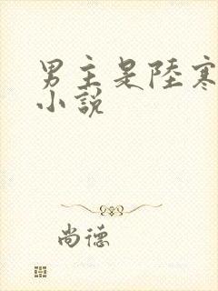 男主是陆寒川的小说