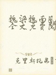 魏梁魏南风po全文免费阅读笔趣阁