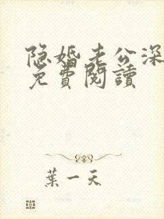 隐婚老公深夜来免费阅读