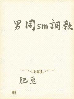 男同sm调教文