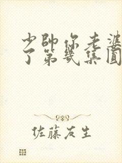 少帅你老婆又跑了第几集圆房