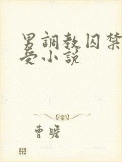 男调教囚禁双性受小说封面