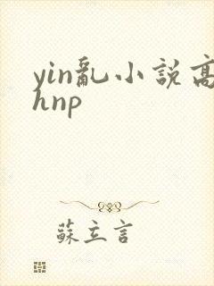 yin乱小说高hnp