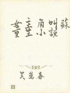 女主角叫苏禾的重生小说