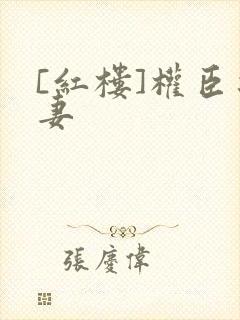 [红楼]权臣之妻