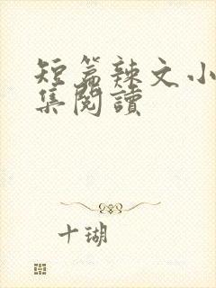 短篇辣文小说合集阅读