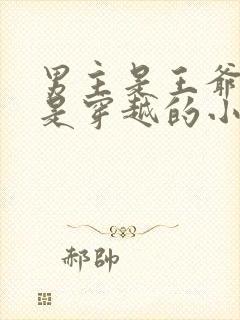 男主是王爷女主是穿越的小说