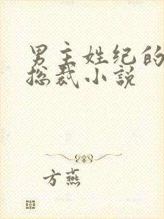 男主姓纪的霸道总裁小说封面