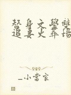 替身文学双男主追妻火葬场推荐