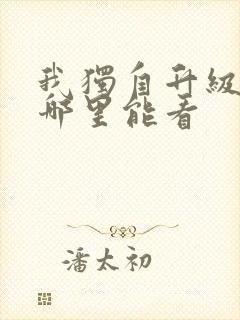 我独自升级小说哪里能看