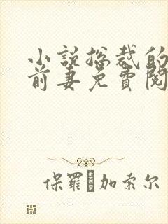 小说总裁的天价前妻免费阅读