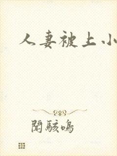 人妻被上小说封面