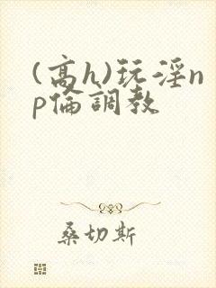 (高h)玩淫np伦调教封面